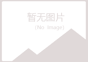 镇巴县夏岚建设有限公司